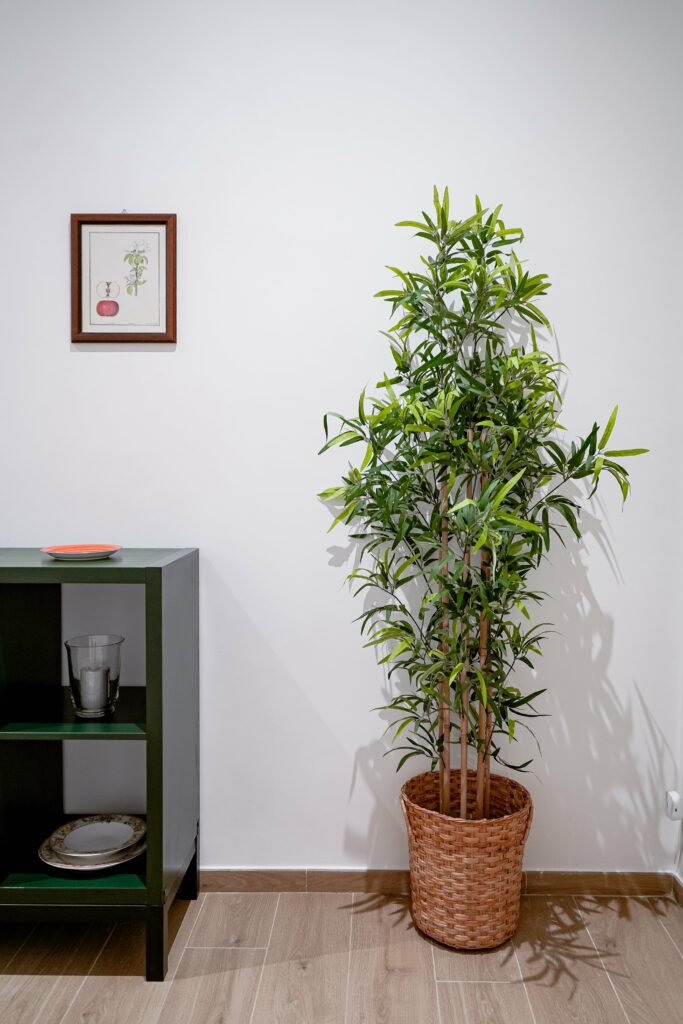 Casa vacanze Roma Prati - Vatican 23 Apartment